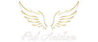 logo pod aniołem